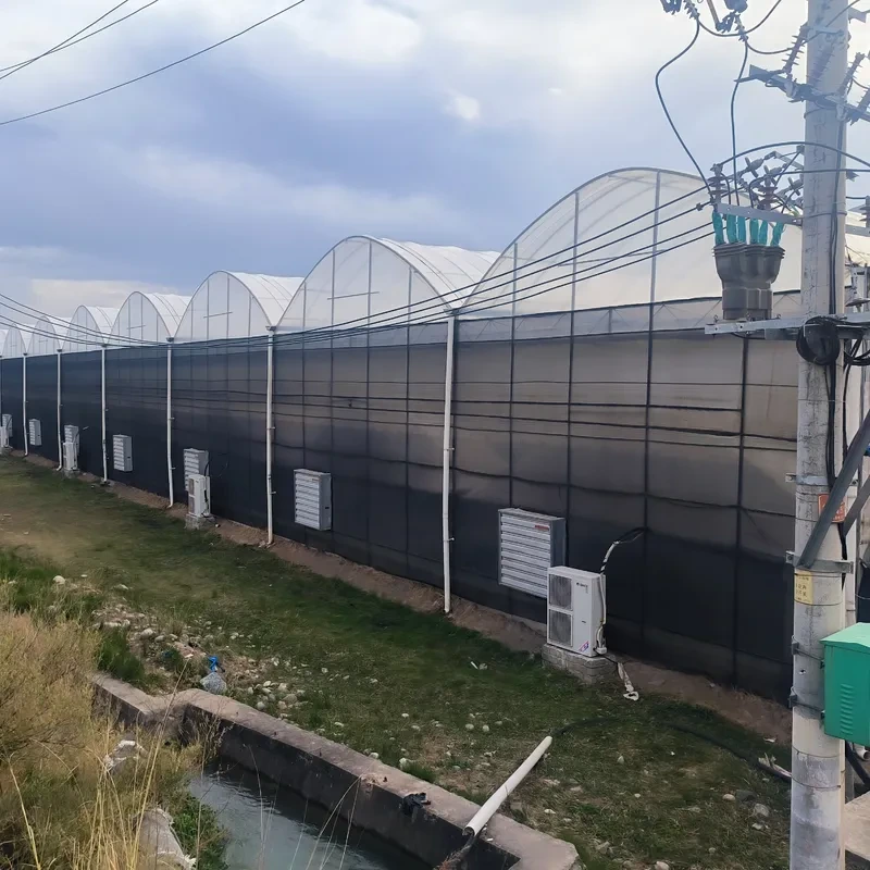 Steel Tructure Agricultural Poly Tunnel Black Shading Multi-span Greenhouse with Optional Cooling System 1