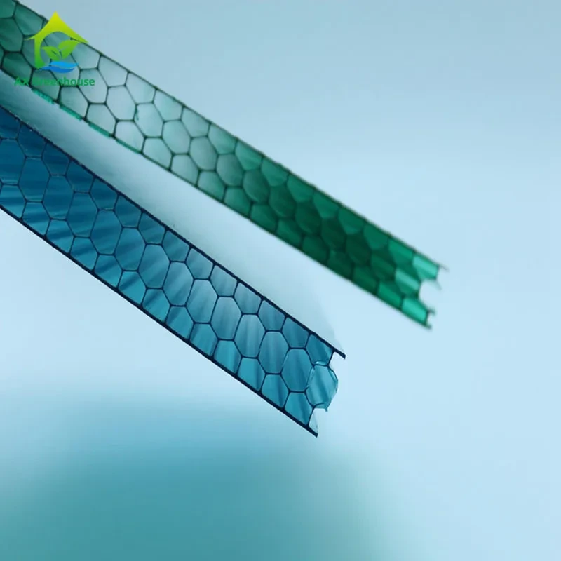 Matériaux de couverture pour serre en nid d'abeille : feuilles de polycarbonate à 4 couches pour serre 1