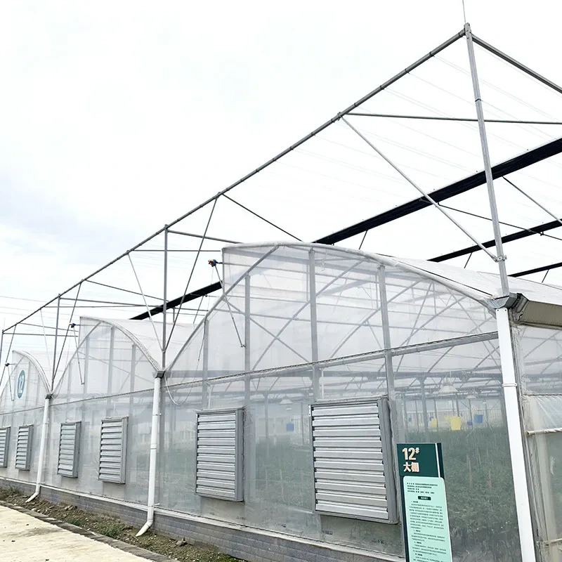 Sawtooth Plastic Film Multi-span Poly Tunnel Vegetable Hothouse Greenhouse For Hydroponic 1