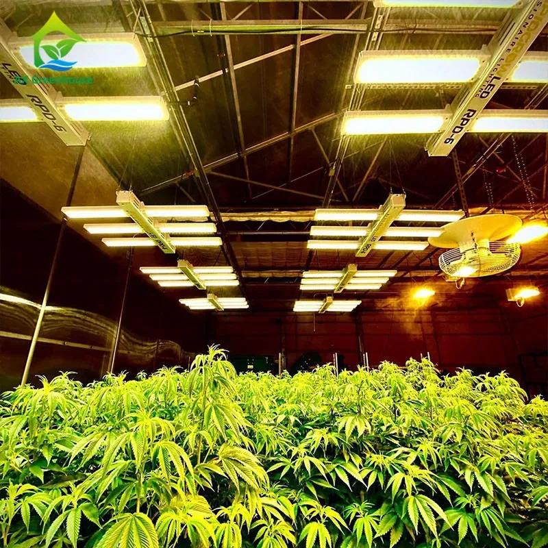 دفيئة حجب الضوء التلقائي، 30 قدم × 100 قدم، دفيئة خلفية للخضراوات 1