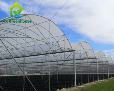 Serre quatre saisons en film plastique PO PE 200 microns, portée de 6 à 12 m 1