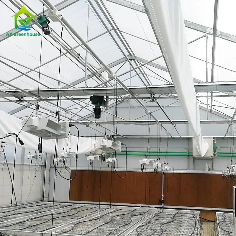 Invernadero de túnel alto con película de PE de 220 V con privación automática de luz, 100 % opaco, para plantar marihuana 1