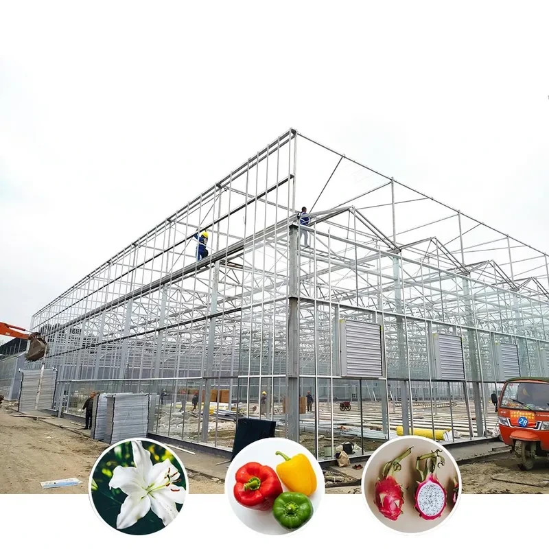 دفيئة زراعية زجاجية متعددة الأقواس للبيع في فينلو 1