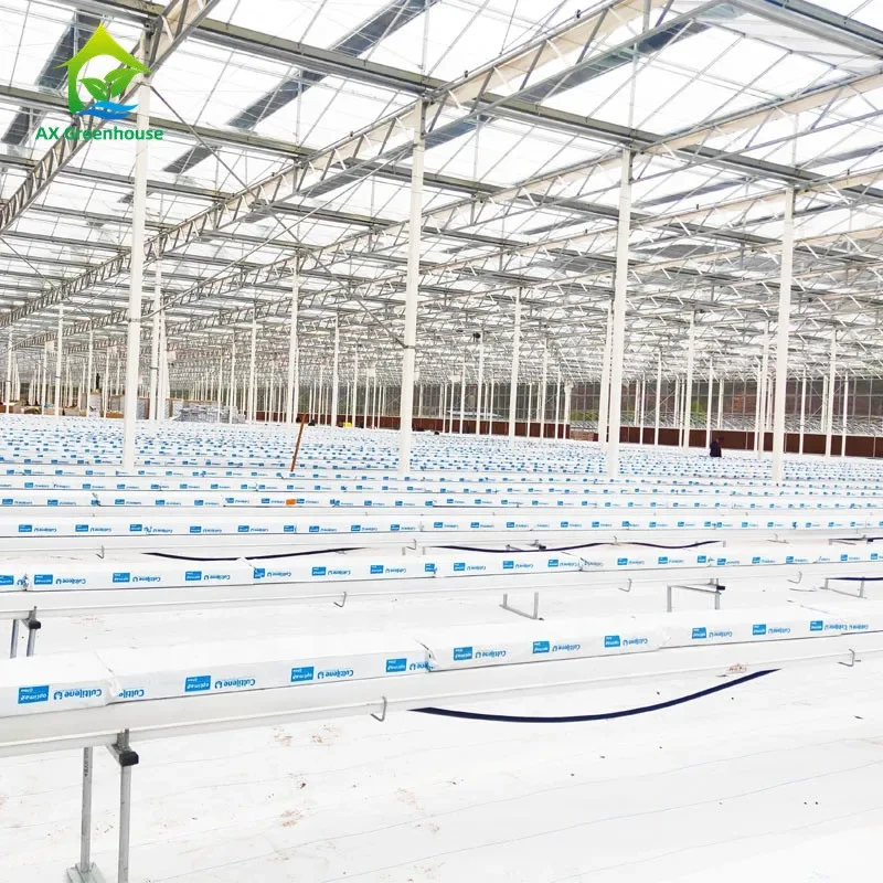Sistema de acuaponía comercial de 5,8 m de longitud para cultivo sin suelo de peces y plantas. 1