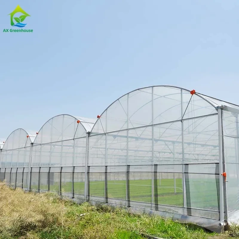 Accessoires de serre en film plastique commercial multi-portées pour l'agriculture 1