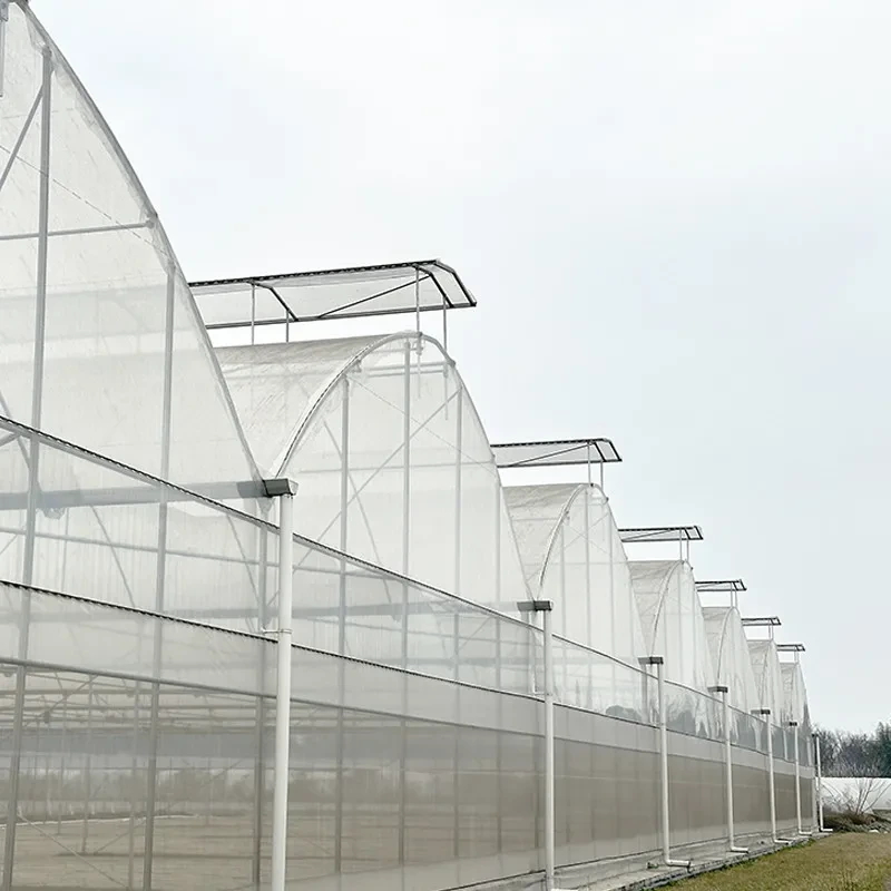 دفيئة زراعية متعددة الامتدادات مصنوعة من البلاستيك، مناسبة للمناخ الاستوائي، لزراعة الفاكهة 1