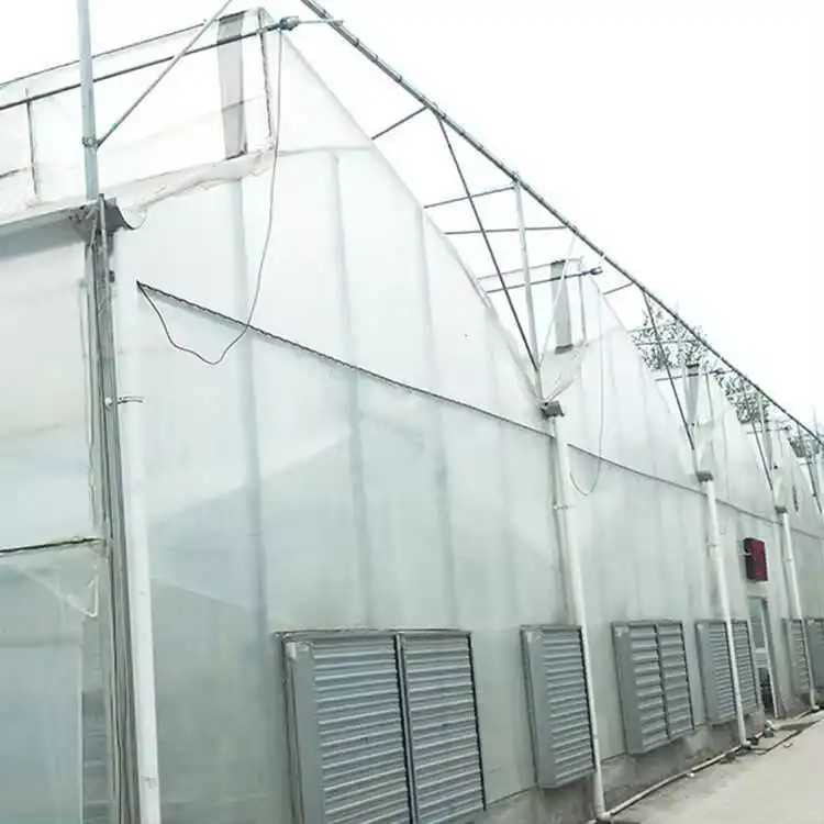 Invernadero tropical de control climático con estructura de aleación de aluminio y película plástica tipo túnel de múltiples tramos con dientes de sierra, en venta 1