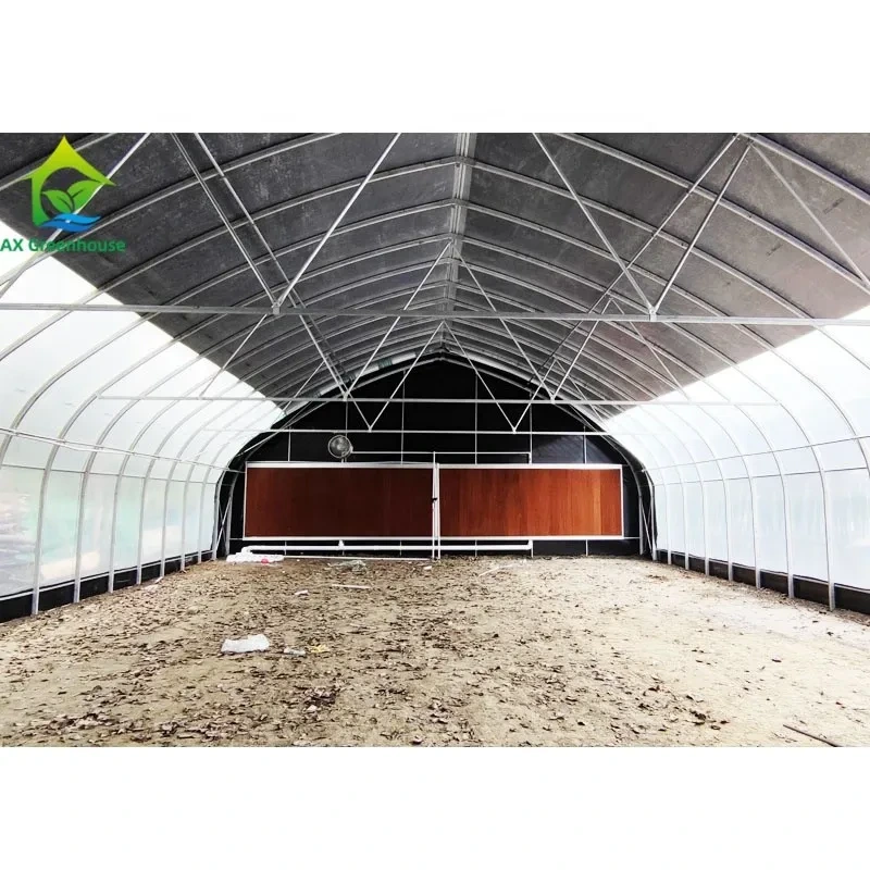 Étagement automatique de la lumière extérieure pour serre, film blanc et noir, 1