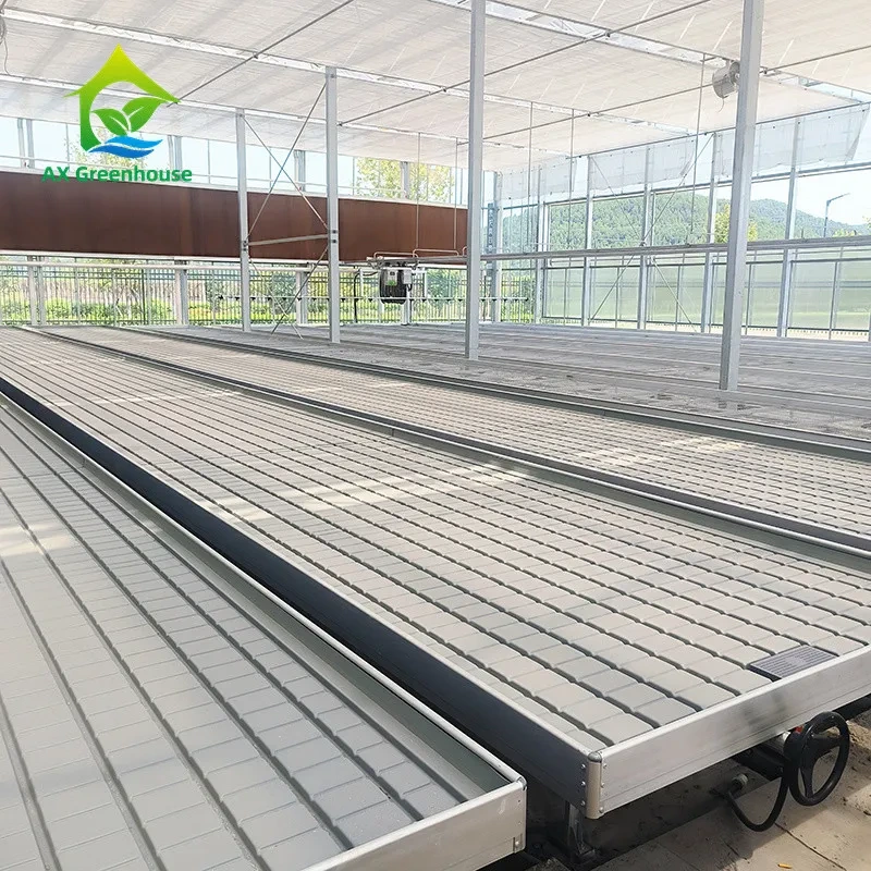 Table de culture hydroponique durable avec plateau à flux et reflux, banc roulant 1