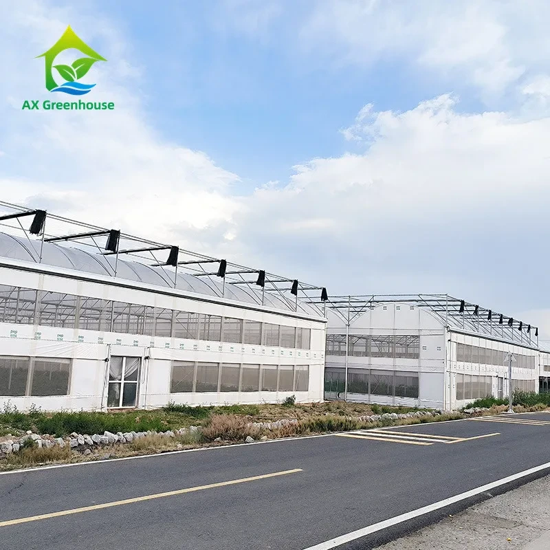 Invernadero tropical de frutos rojos con sistema hidropónico, de película plástica y túnel multicapa 1