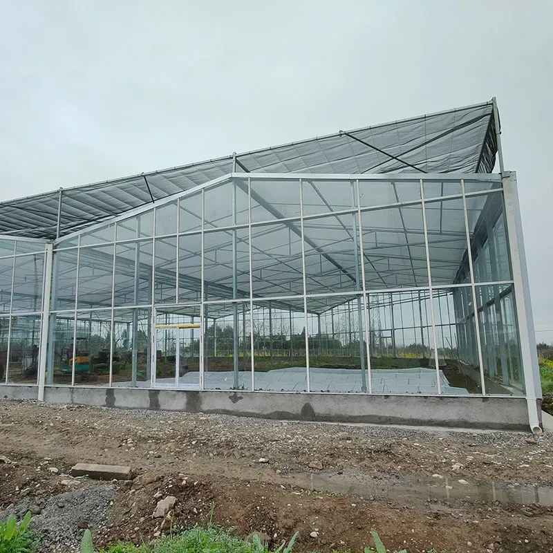 دفيئة زراعية من الزجاج المقوى وإطار من الألومنيوم من فينلو لزراعة الشتلات 1