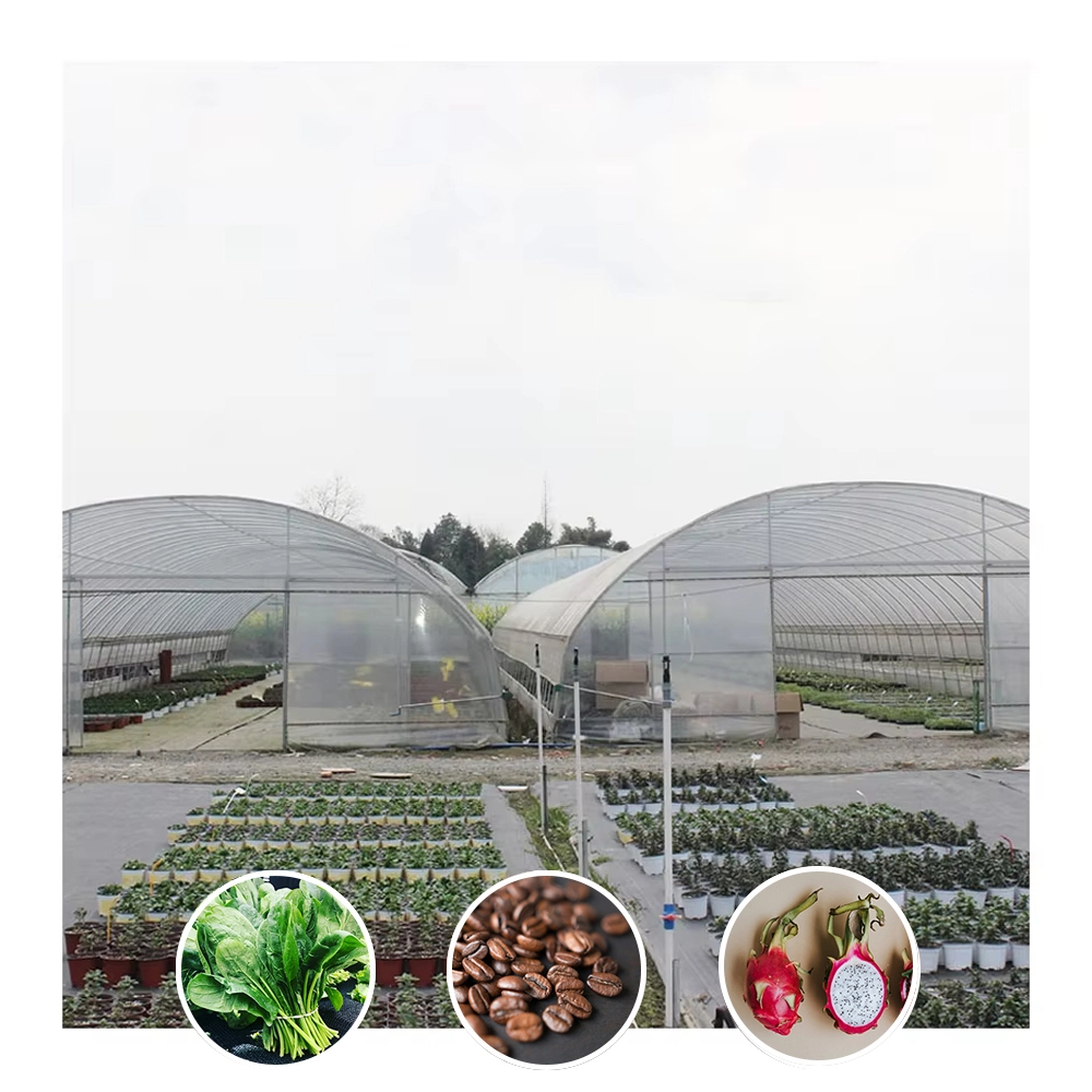 Serre-tunnel agricole économique en plastique pour la culture de légumes 1