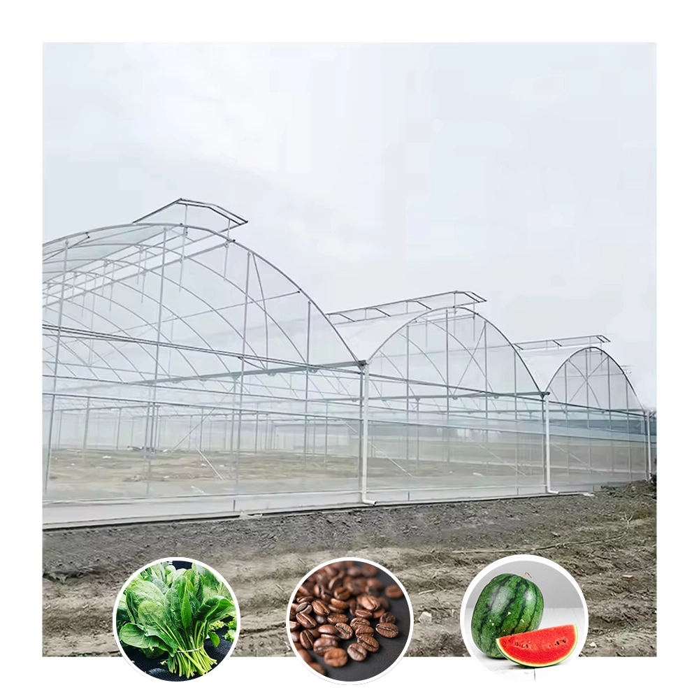 Invernadero de túnel grande de película plástica de varios tramos con ventilación superior para melones 1