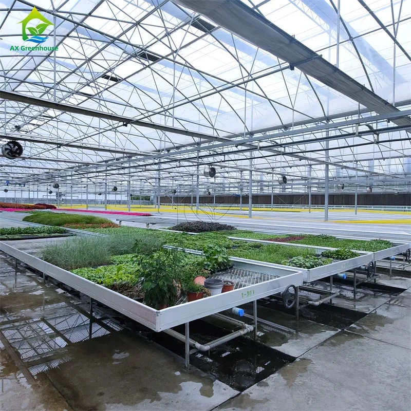 Mesa rodante de acero inoxidable y estable para el cultivo de flores y plantas. 1