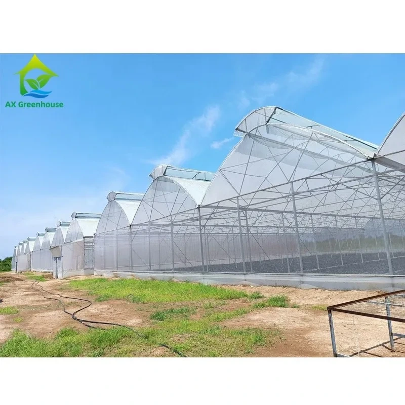 Multi Span Aluminum Tunnel Greenhouse for Flowers Vegetables Plant 1