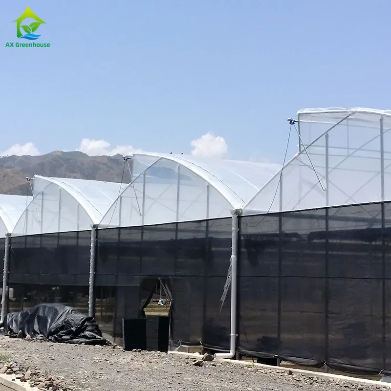 UV Resistant PE Film Commercial Poly Tunnel Greenhouse For Tropical Climate 1