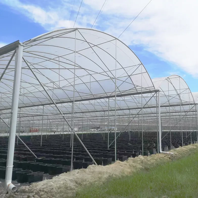 Invernadero agrícola multicapa con estructura galvanizada de polietileno de 30 x 10 m para tomates 1