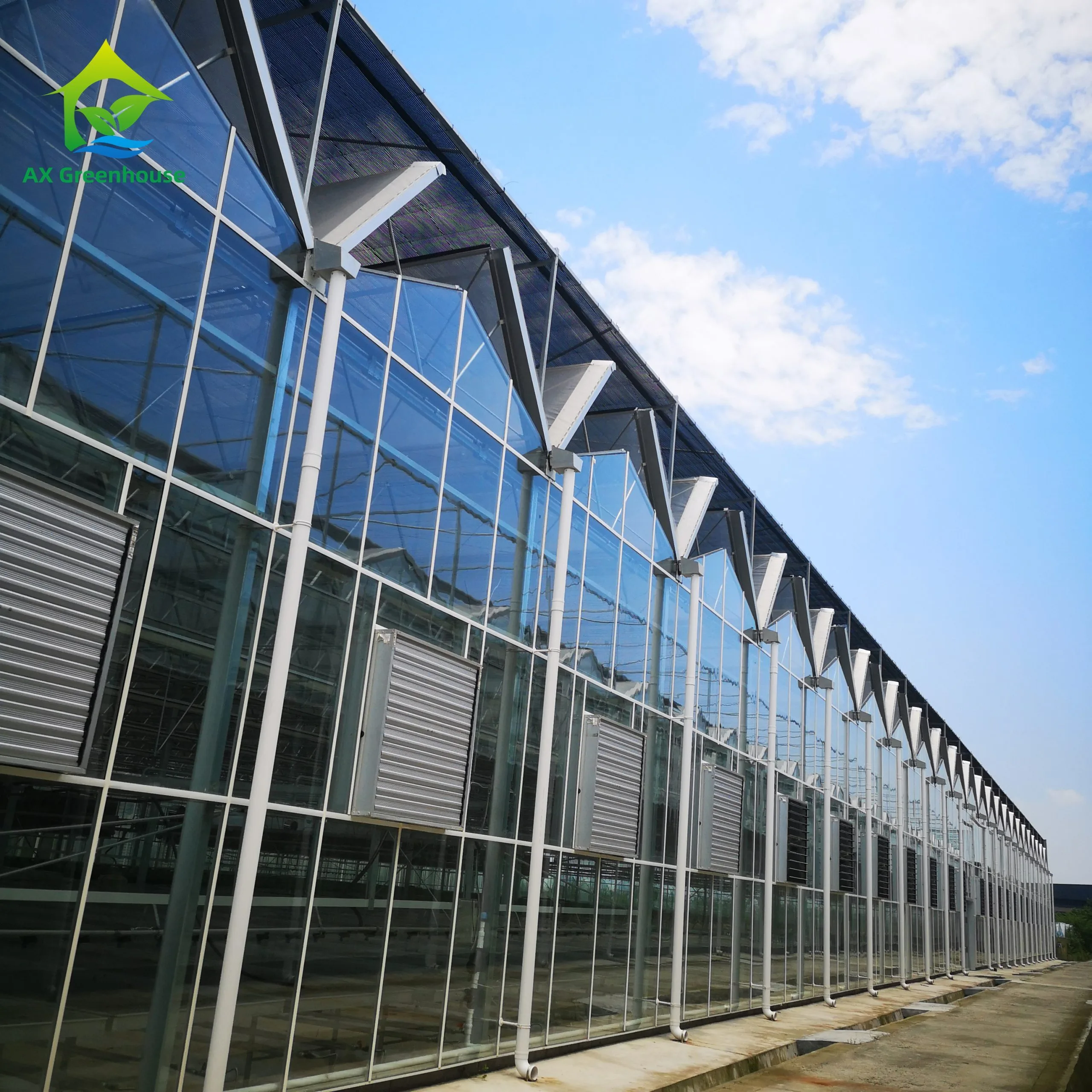 Invernadero comercial de túnel de vidrio de gran tamaño para uso multitemporada de hortalizas 1