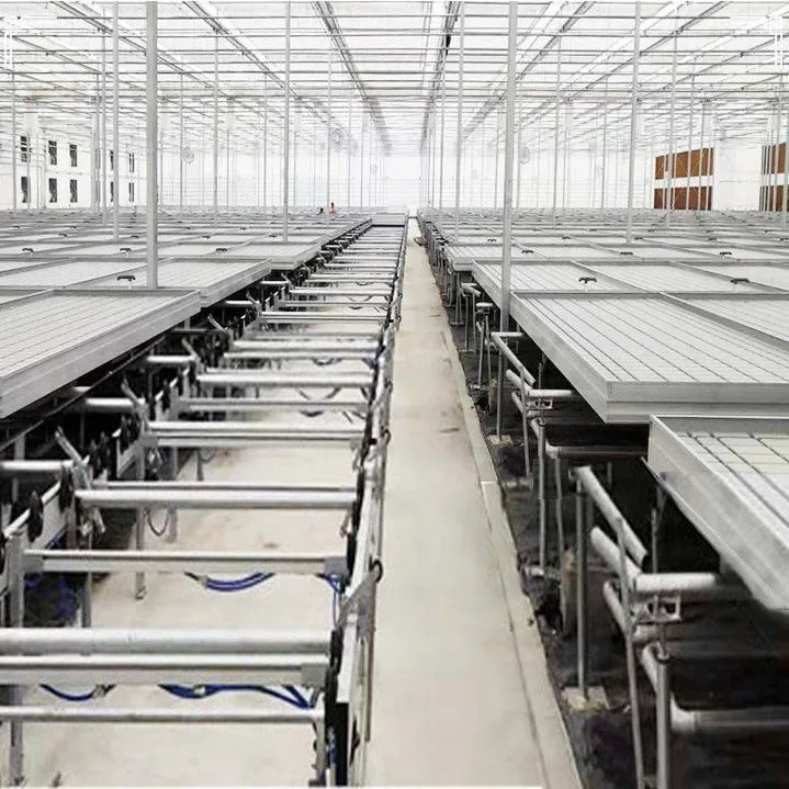 طاولة متحركة للزراعة المائية بنظام المد والجزر، صواني زراعة 1