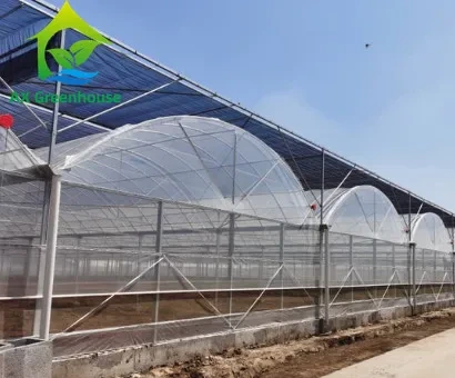 Filme PO para estufa de pepinos Multi Span, 20m x 100m de comprimento. 1