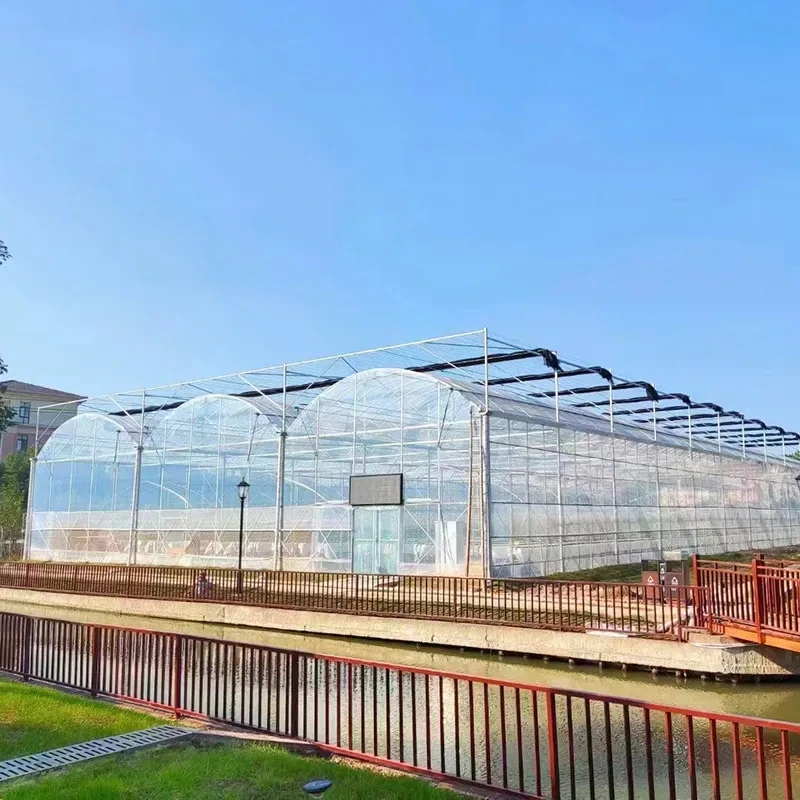 Serres tunnels modulaires avec aménagements personnalisables pour légumes, fleurs et pépinières 1