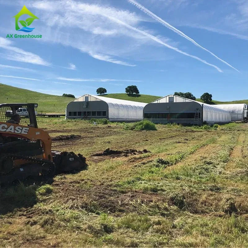 Serre entièrement automatique à obscurité totale pour la culture de plantes médicinales 1