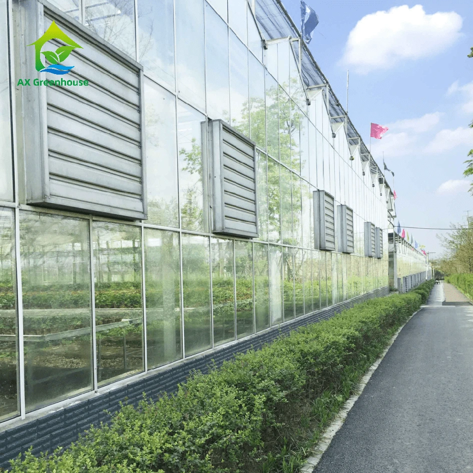 Invernadero automatizado Venlo de vidrio templado de varios tramos con estructura de acero galvanizado, personalizado de fábrica, a la venta 1
