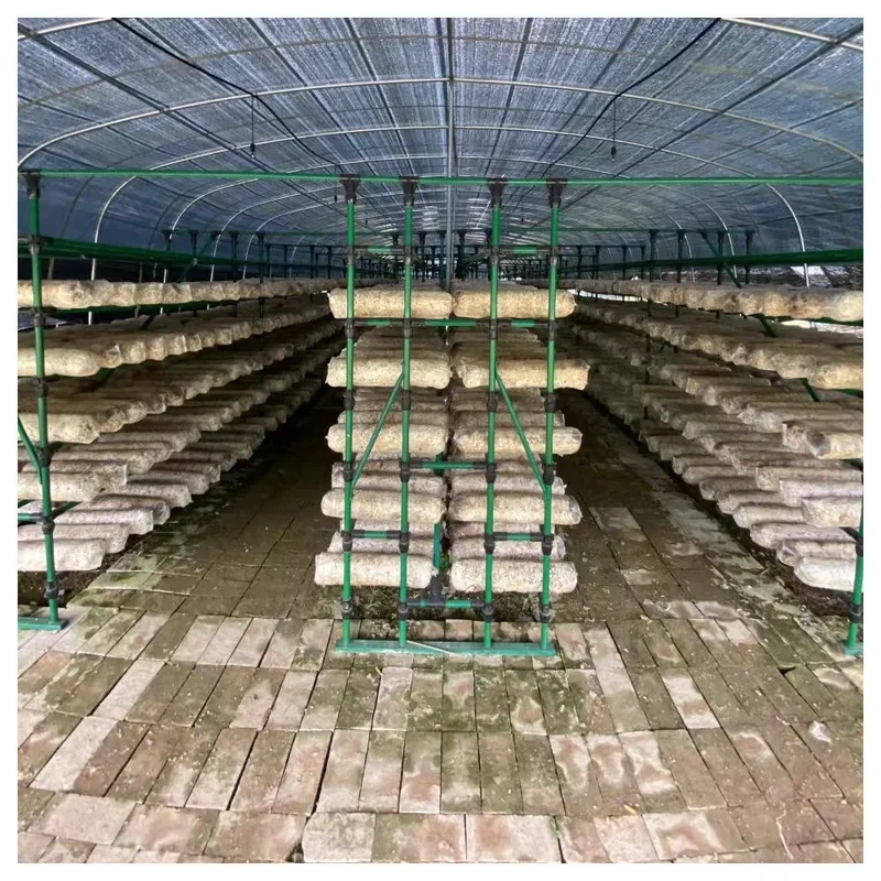 Invernadero agrícola automático con marco metálico de policarbonato opaco para el cultivo de hongos. 1