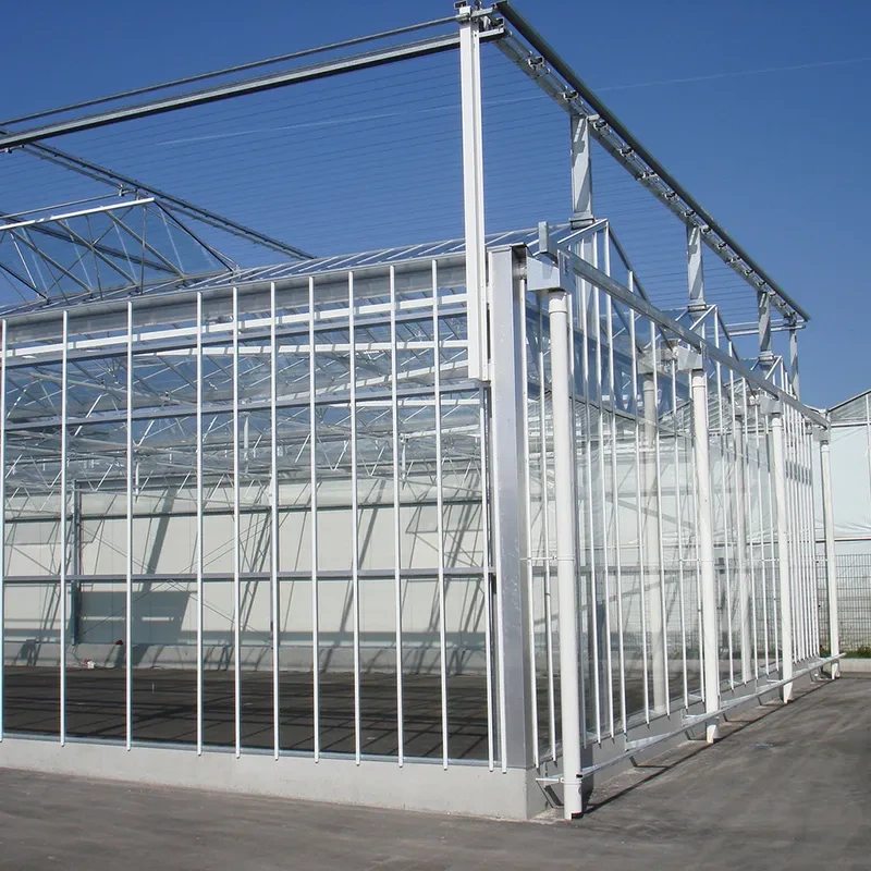 Invernadero agrícola comercial de vidrio con ventilación superior Venlo de múltiples naves 1