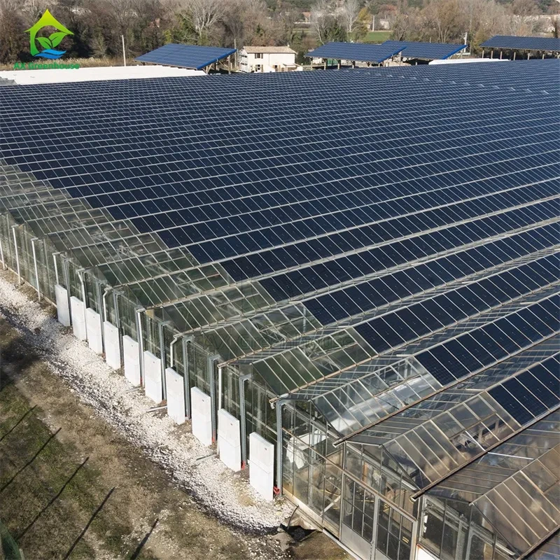 Estufa solar fotovoltaica moderna e inteligente Venlo com painéis de policarbonato e múltiplos vãos. 1