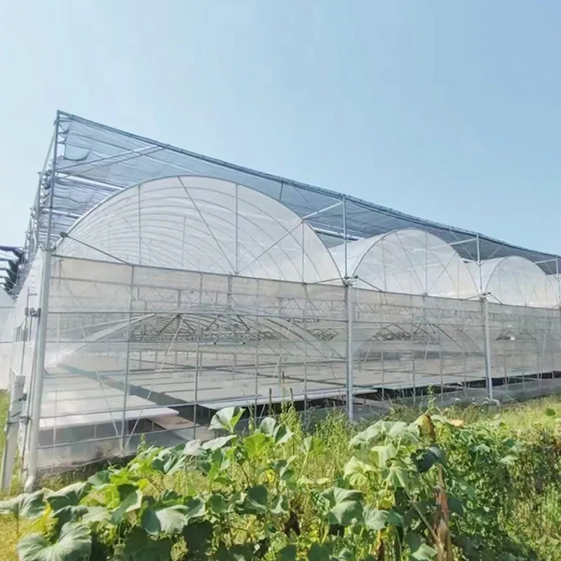 Customized Agricultural Plastic Film Multi-span Polyhouse Greenhouse 1