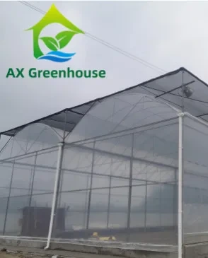 Film plastique 5 couches 100 µm 120 µm pour serre maraîchère 1