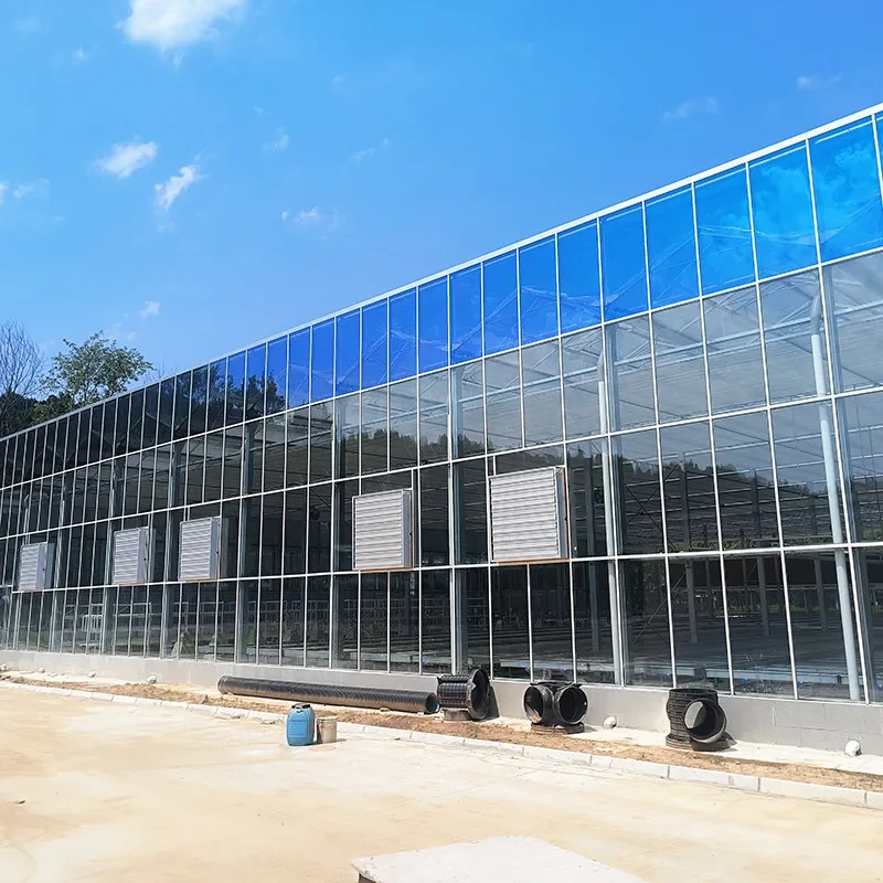 دفيئة زراعية زجاجية بيضاء شفافة متعددة الامتدادات مصنوعة من الفولاذ المجلفن 1