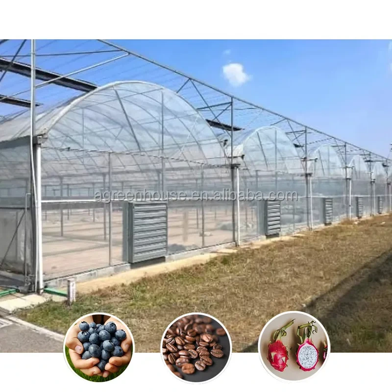 Hot Sale Poly Tunnel Agricultural Multi-span Plastic Film Blueberry Greenhouse 1