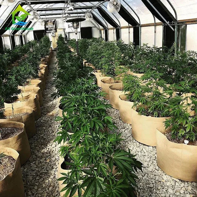 Estufa ODM Light Dep 100% Blackout 50' x 100' para mudas 1