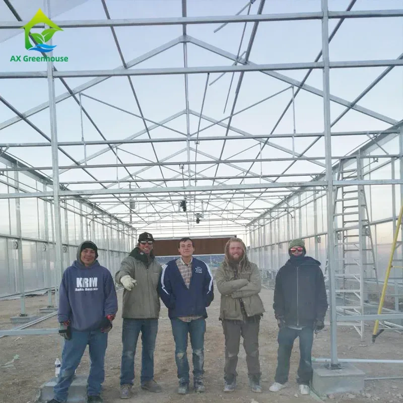 Bâche de serre rectangulaire en plastique à haute isolation, résistante à la neige, 3 couches de polycarbonate. 1