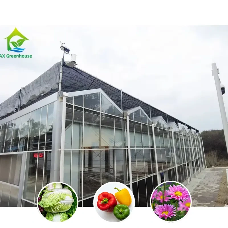 Solución agrícola para todo tipo de clima: invernadero de estructura estable con acero galvanizado en caliente y vidrio de calidad comercial. 1