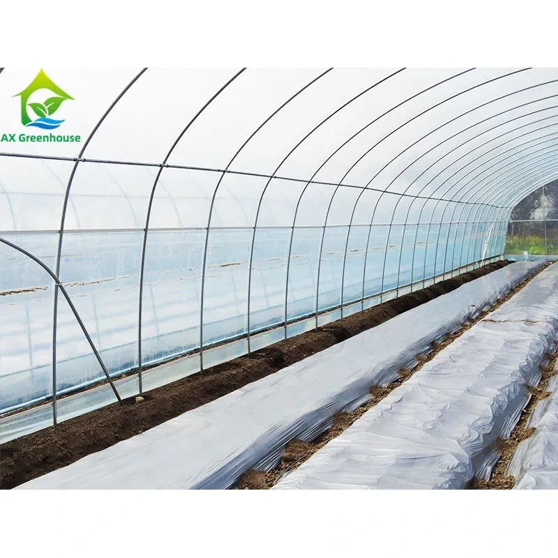 Customized Commercial Poly Tunnel Greenhouse 10*30 Square Meters For Cucumber 1