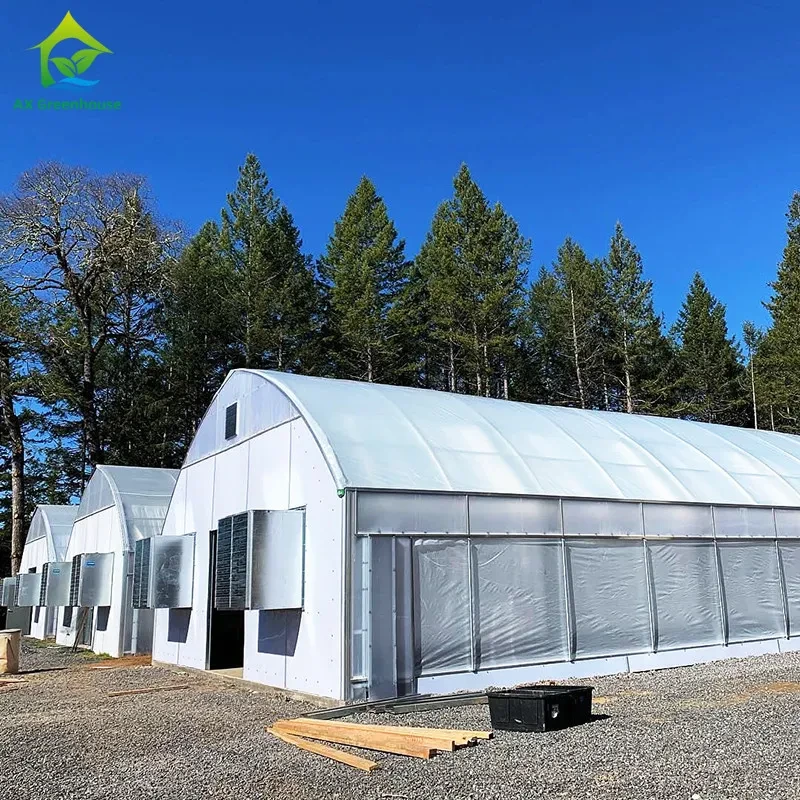 Estufa agrícola de cogumelos com sistema de privação total de luz e escurecimento automático personalizado. 1