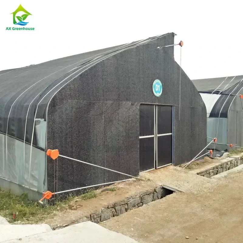 دفيئة معتمة ذات شبكة تظليل غشائية أحادية الامتداد على شكل سن المنشار لزراعة الفطر 1