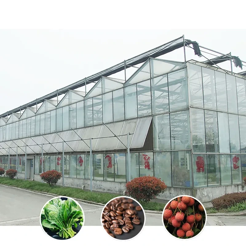 دفيئة زراعية ذكية من نوع فينلو، مصنوعة من الزجاج المقسى، ذات نفق كبير متعدد الفتحات 1