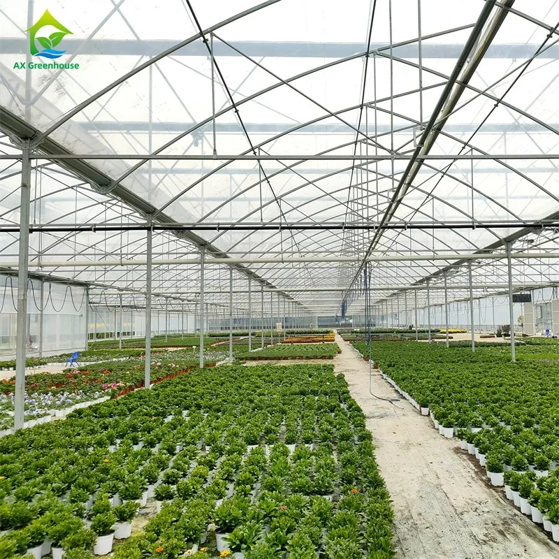 Invernadero de película de PE multicapa estable de gran espacio para plantar plántulas y flores 1