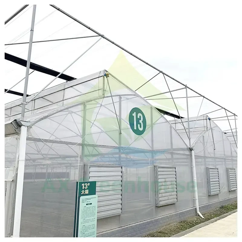 Invernadero agrícola de varios tramos con túnel de película de polietileno para cultivo de hortalizas 1