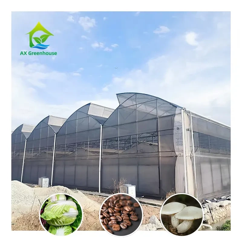 Construção durável em policarbonato para resistência extrema às condições climáticas em estufas com privação de luz. 1