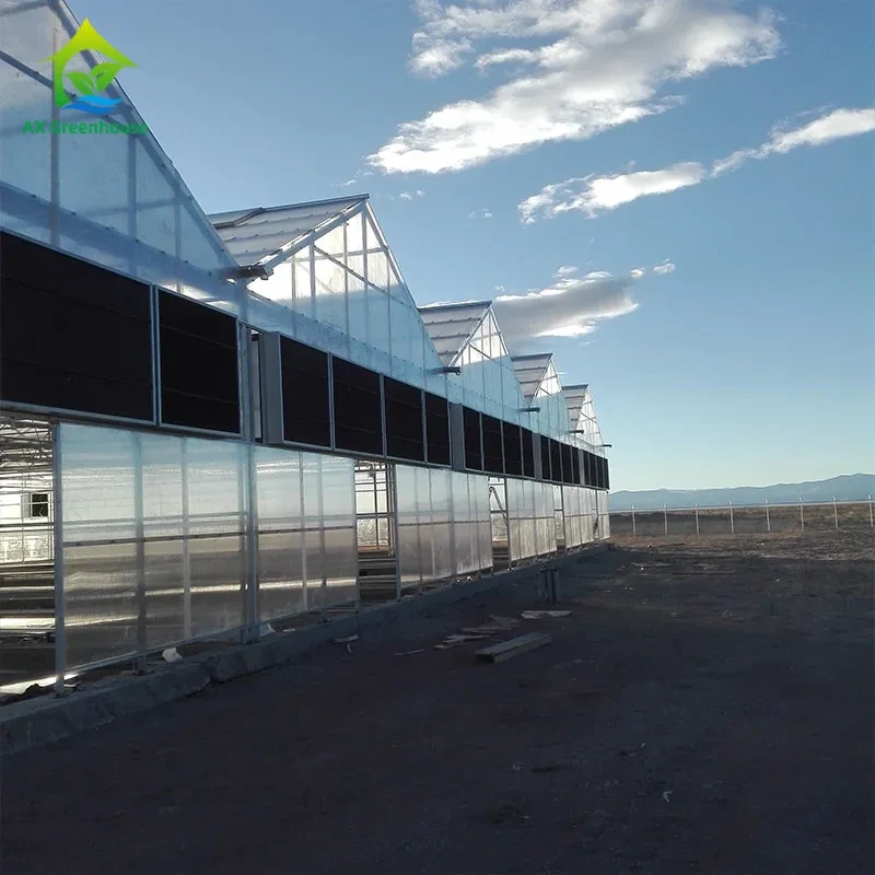 أغطية بلاستيكية معتمة للضوء، مناسبة للبيوت الزجاجية، بيوت زهور القنب، بيوت زراعية 1