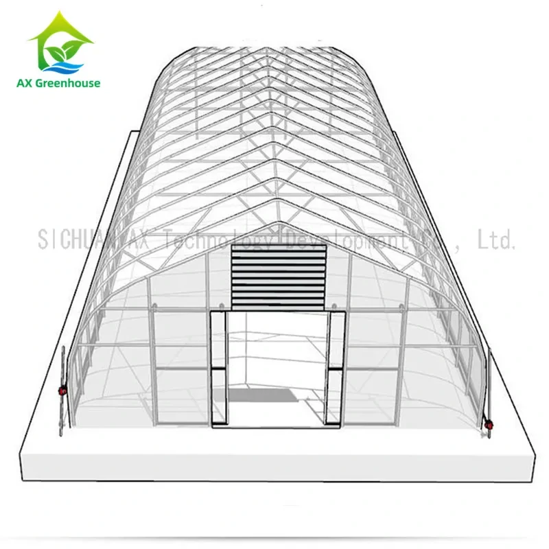 Agricultural Hydroponic Single Span Greenhouse For Mushroom Cultivation 1