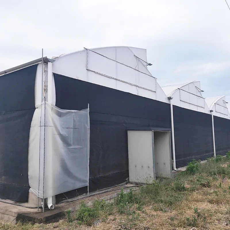 Estufa agrícola durável com película plástica blackout para privação de luz e múltiplas vãos 1