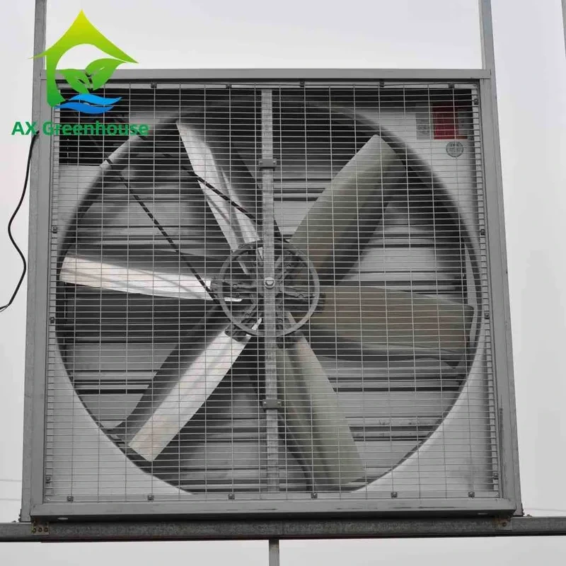 Ventiladores de exaustão de parede úmidos com lâminas de 500 a 1250 mm de diâmetro. Ventiladores extratores industriais de parede. 1