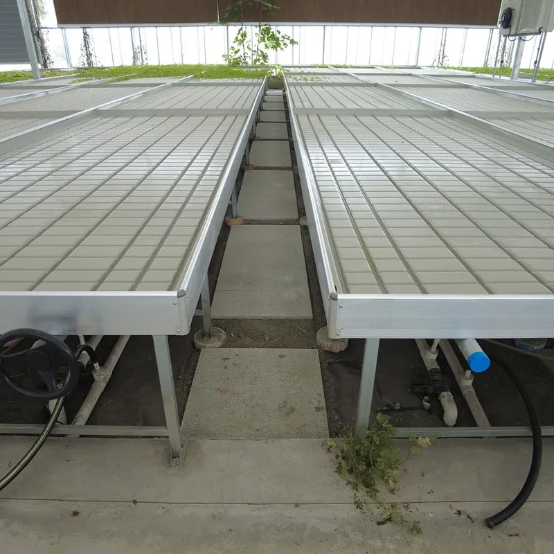 Table de culture roulante à hauteur réglable pour semis, idéale pour les serres hydroponiques à flux et reflux. 1