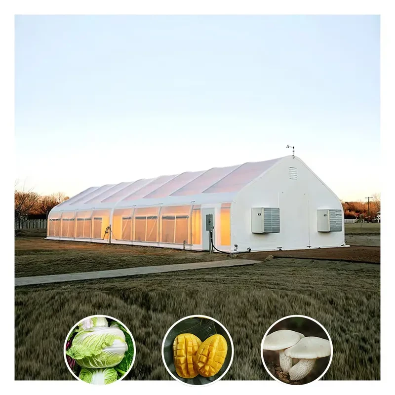 Soluciones escalables de privación de luz para cultivadores comerciales de hongos 1